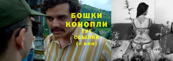 гашик Кодинск