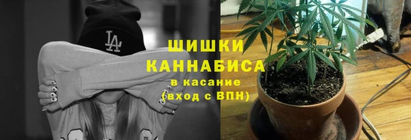 соль курить ск Козловка