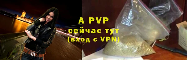 гашик Кодинск