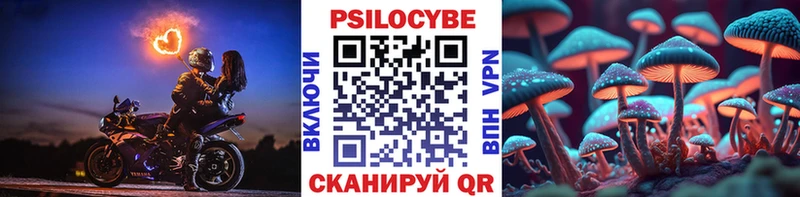 Галлюциногенные грибы MAGIC MUSHROOMS  Купить где  Карасук 